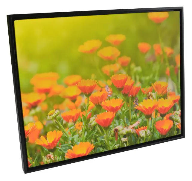 Ramă Åsen Ramă pentru tablou tip canvas Negru - Mărime la alegere