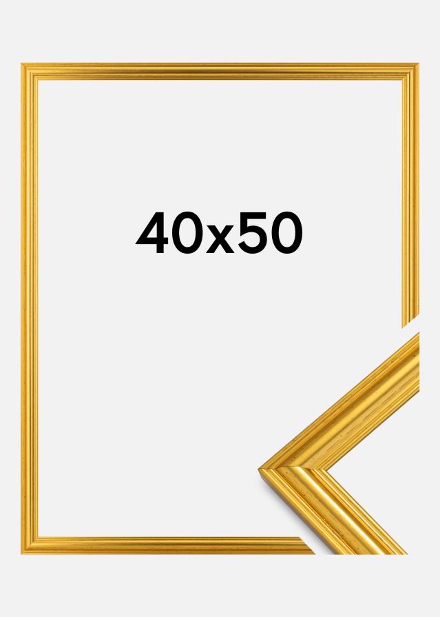Ramă Frigg Auriu 40x50 cm