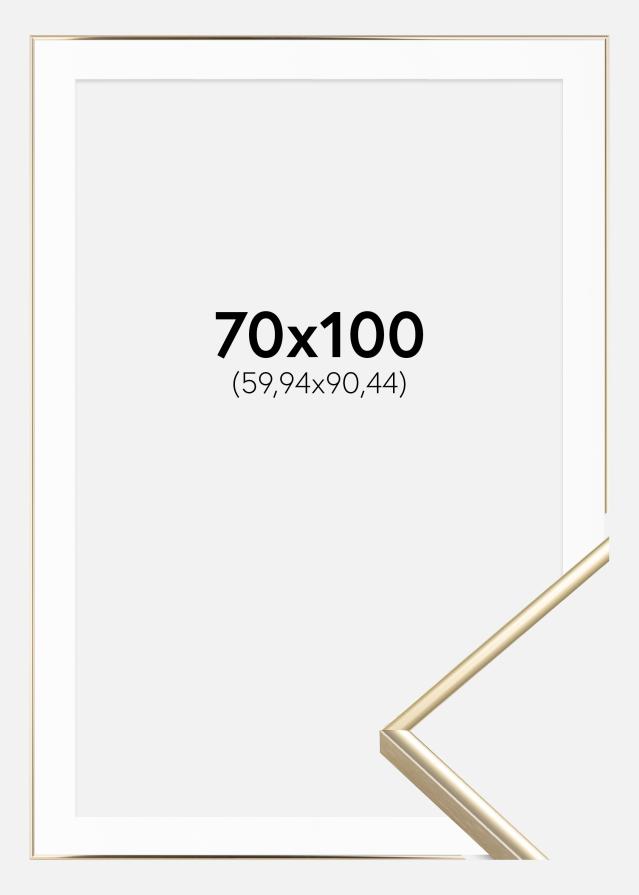 Ramă Visby Auriu sidefat 70x100 cm - Paspartu Alb 24x36 inches