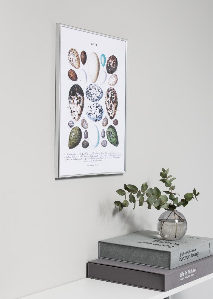 Ramă Can-Can Argintiu 40x60 cm