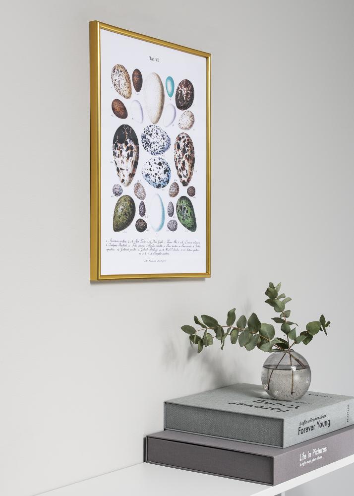 Ramă Decoline Sticlă acrilică Auriu 70x100 cm