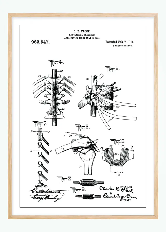 Schiță - Anatomic schelet III Poster