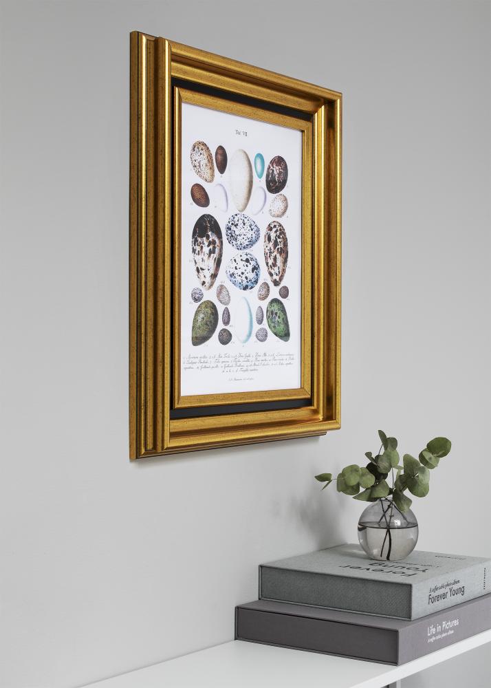 Ramă Gysinge Premium Auriu 33x95 cm