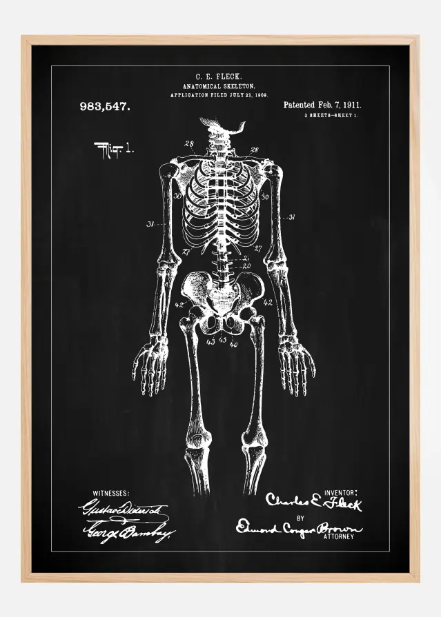 Schiță - Anatomic schelet în - Negru Poster