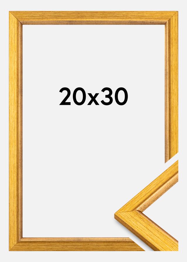 Ramă Marisa Acryl Goud 20x30 cm
