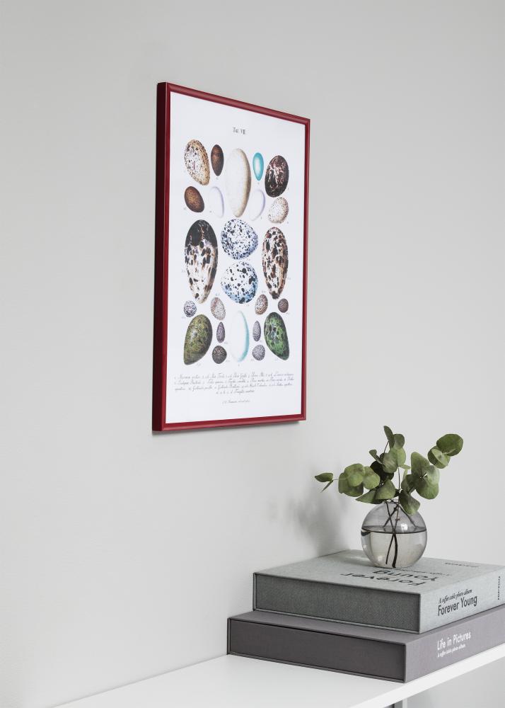 Ramă New Lifestyle Sticlă acrilică Roșu 70x100 cm