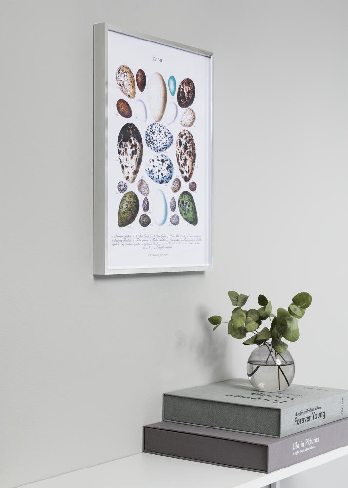 Ramă Nielsen Premium Alpha Argintiu sidefat 84,1x118,9 cm (A0)