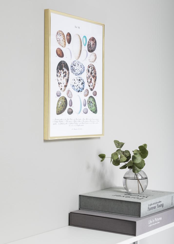 Ramă Nielsen Premium Classic Auriu 70x90 cm