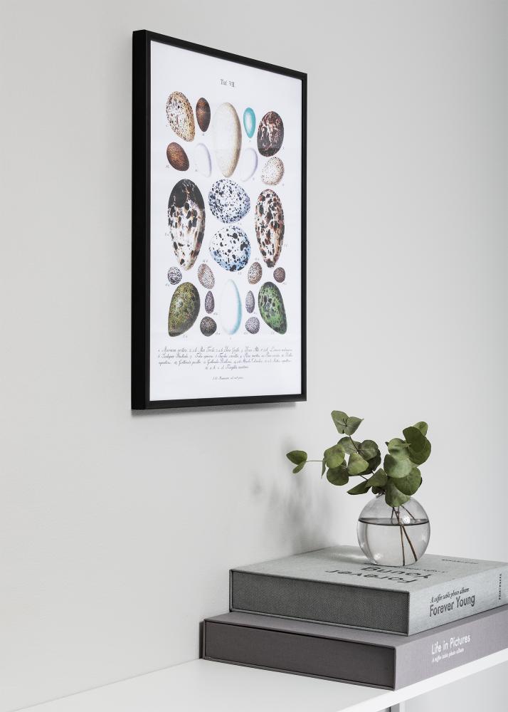 Ramă Nielsen Premium Classic Negru mat 70x90 cm