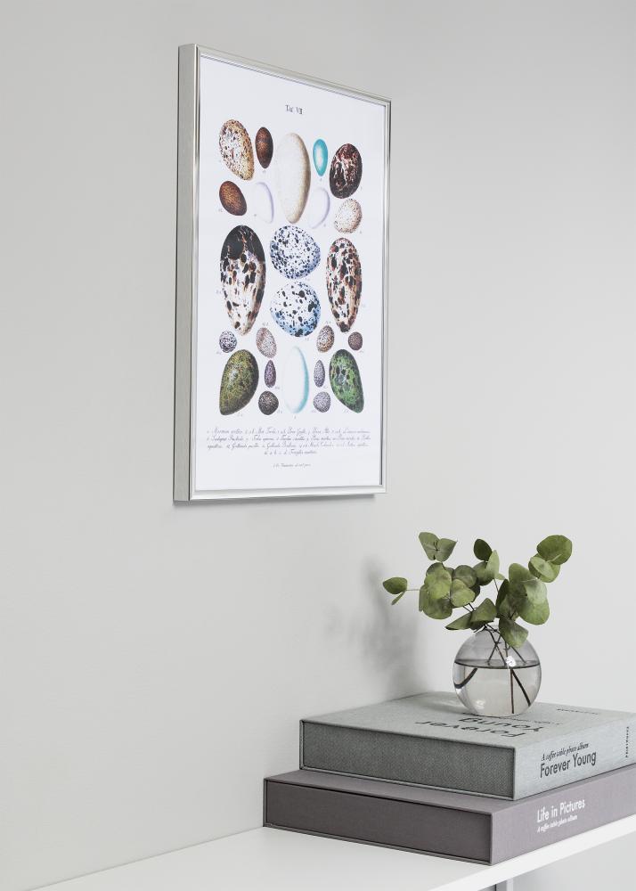 Ramă Nielsen Premium Classic Argintiu 60x80 cm