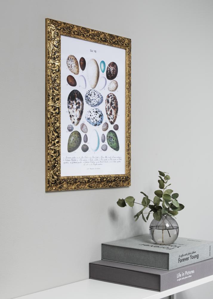 Ramă Ralph Auriu 35x50 cm