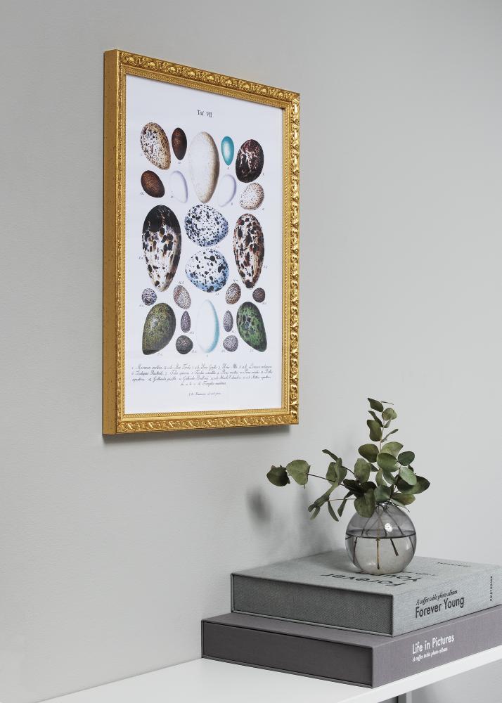 Ramă Smith Auriu 35x50 cm