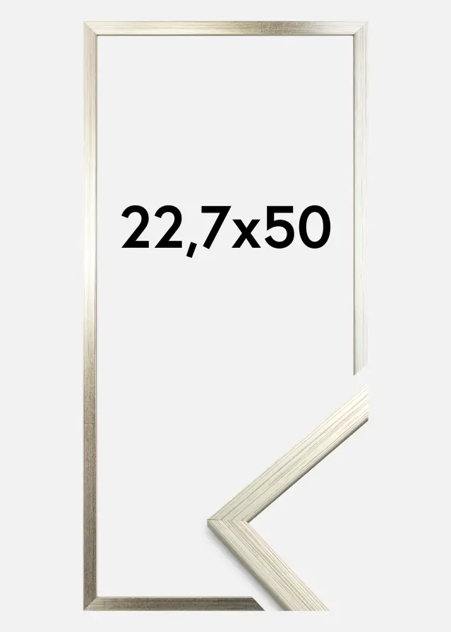 Ramă Edsbyn Sticlă acrilică Argintiu 22,7x50 cm