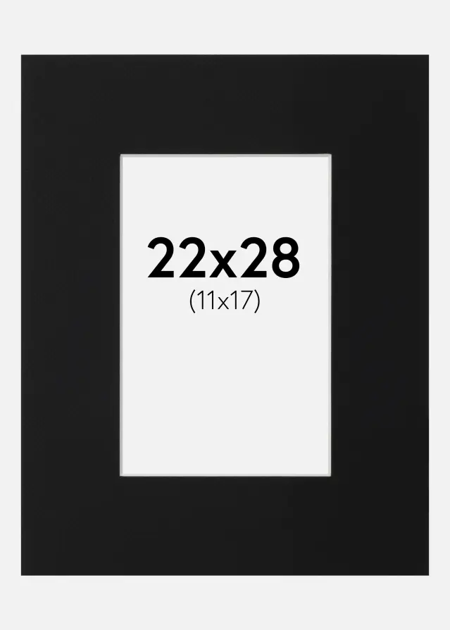 Paspartu Negru Standard (Miez Alb) 22x28 cm (11x17)